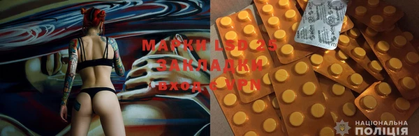 крисы Щучье