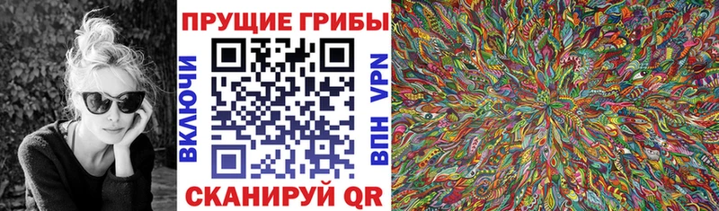 Галлюциногенные грибы прущие грибы  Болгар 