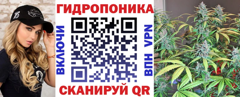 Бошки марихуана White Widow  блэк спрут ТОР  Болгар 