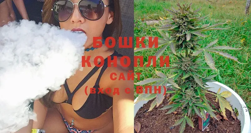 Канабис SATIVA & INDICA  Болгар 